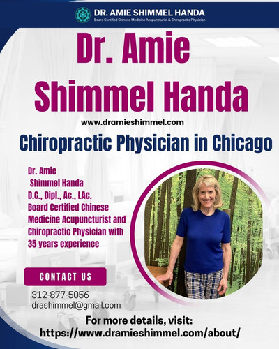 Chiropractic Physician in Chicago.jpg