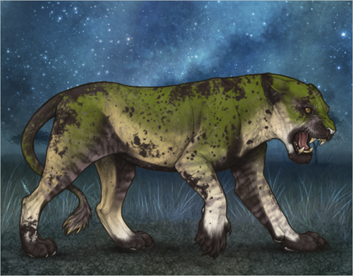 Screenshot 2026 02 20 003404.png