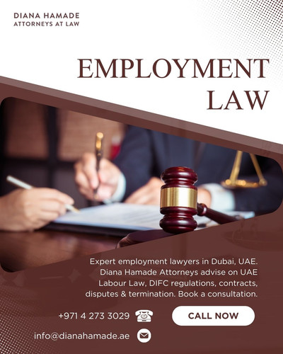 Employment Lawyers in Dubai, UAE Diana Hamade Law.jpg
