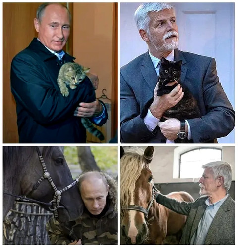 prezident zvířátka ec4b0.jpg