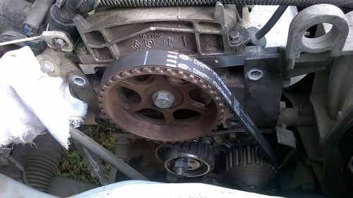 ae76ef9s 1920.jpg