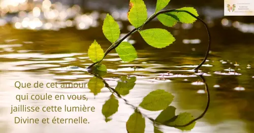 Texte 6 canalisation.webp