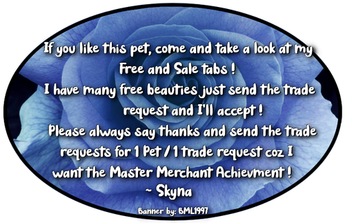 master merchant skyna.png