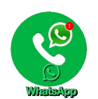 WHATSAPP ZEUS8M