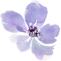 1771572837141.png