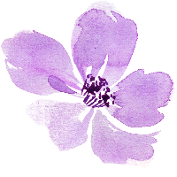 1771573978061.png