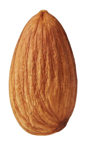 IMG 20260220 150031.png