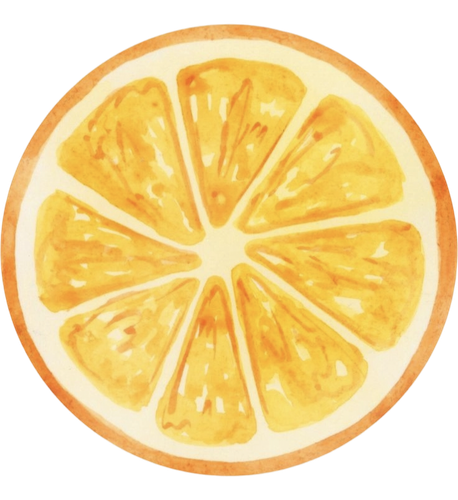 IMG 20260220 151311.png