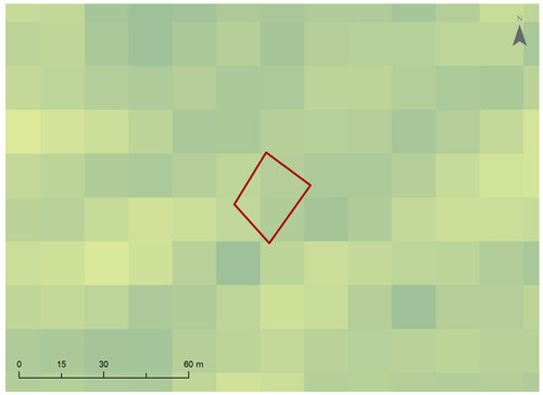 4 1371 3.jpg
