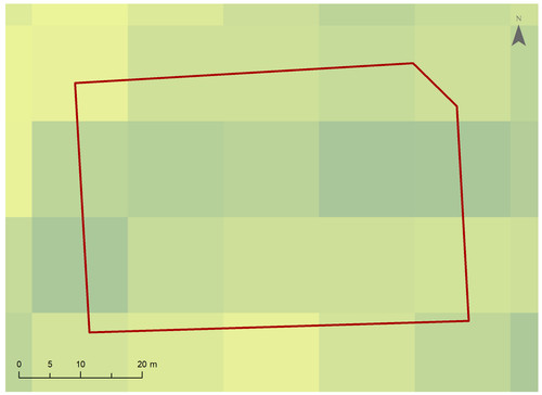28 5559 5.jpg