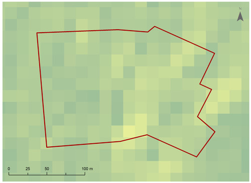 6 1274 2.jpg