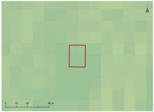 2 464 4.jpg