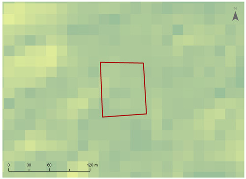 26 4204 1.jpg