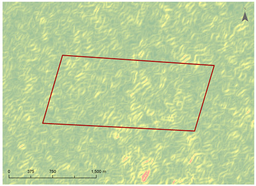 26 4082 4.jpg