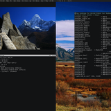 2021 03 07 1615172309