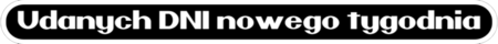 450x40 Udanych.png