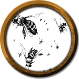 token Abelhas Assassinas