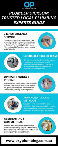 Plumber Dickson.jpg