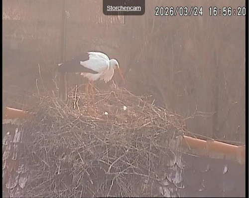 MWSnap955.jpg
