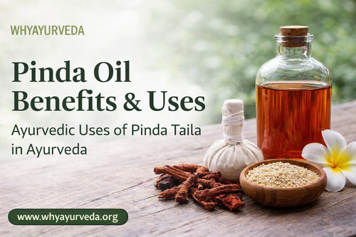 Pinda oil benefits and herbal ingredients.png