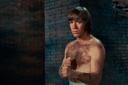 chuck norris the way of the dragon