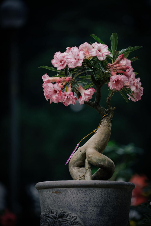 T8Bu7B7hTgS3R9wKWehGqUF7PRdNUJ8yU1 FRozWM5uD7mwNX7 acAW60hqwHyBmckOkw83Y5opWCAB2O4FddVjcKjwziuHGDvVq.jpg