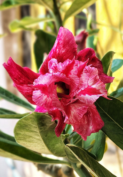 2H3KqsQ5frNKXQXQlS1qeP2OQ BkROuFpBcp6pDNkuls4WMYiuaCqA0pHX2oImqe4yXy6Ag3GoF9hwD9nXmtlzu1SEJGrqKZbmdF.jpg