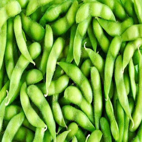 green Edamame vegetable.jpg