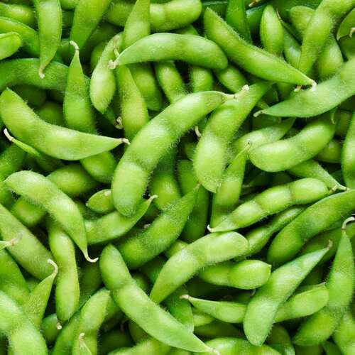 green Edamame vegetable4.jpg