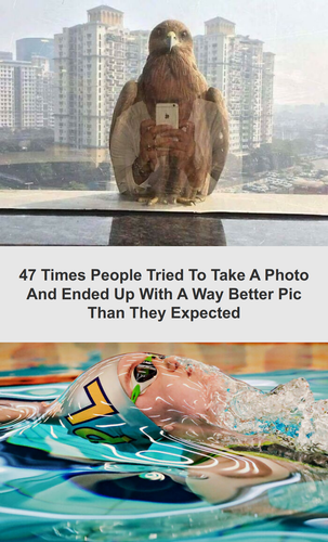 ig tt comments 3380d61d 8bcf 41b0 a55b e94f03ecd6ee.png