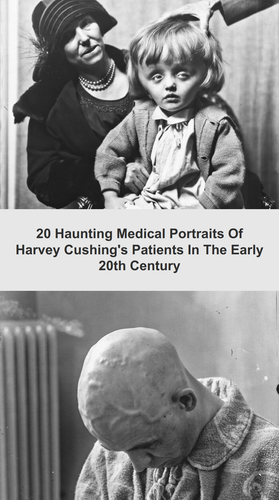 ig tt comments b8ca78f2 b4c3 4a84 9e1f b76e76dba9f1.png