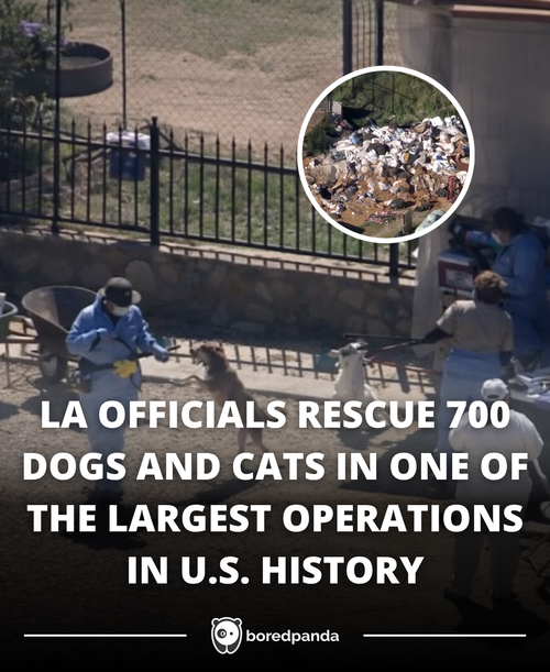 279. LA OFFICIALS RESCUE 700 DOGS AND CATS IN ONE OF THE LARGEST OPERATIONS IN U.S. HISTORY.png