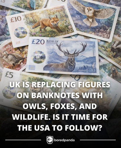 Copy of FB Native Template v8.jpg