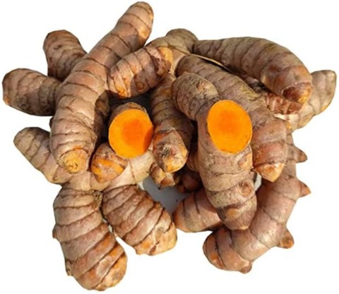 150 turmaric seeds jui halder or.jpg