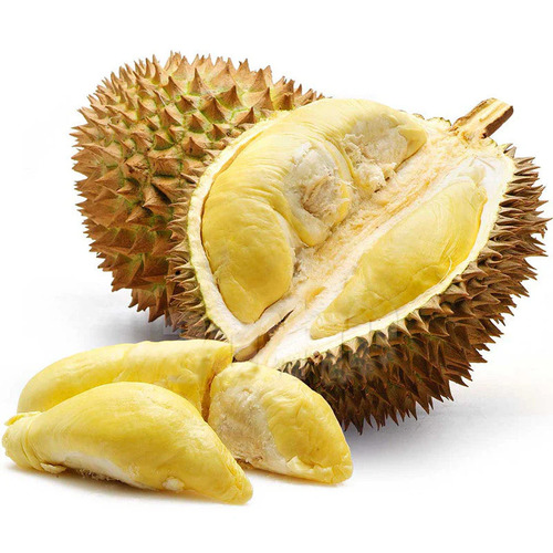 Durian fruit.jpg