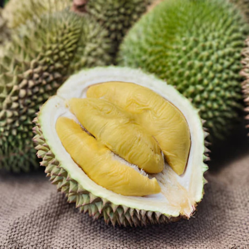 Durian fruit1.jpg