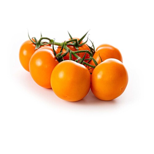 tomato vegetable2..jpg