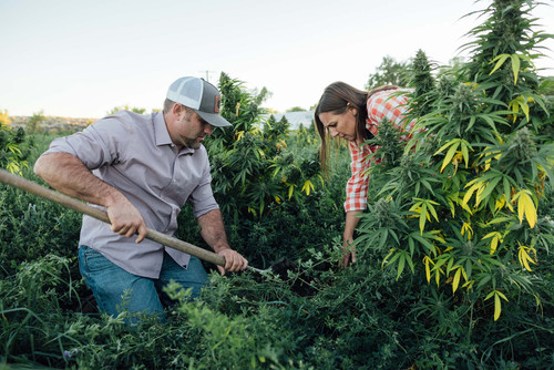 Small Batch CBD.jpg
