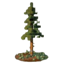 spruce tree.png