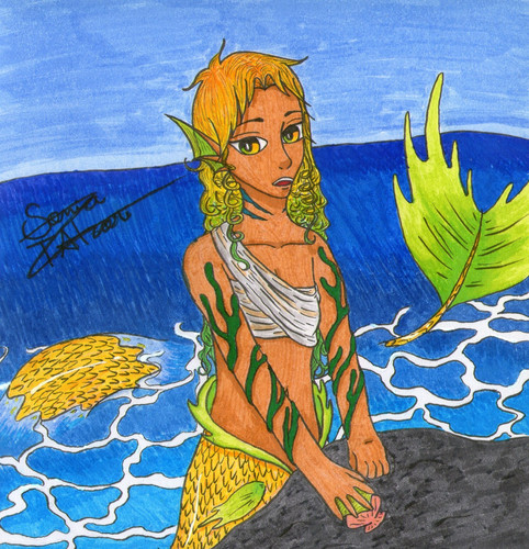 Citrus Mermaid.jpg