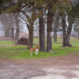 DSC00943