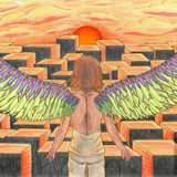 Golden Lined Wings