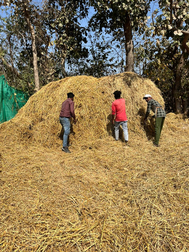 WhatsApp Image 2026 03 10 at 12.54.48 PM.jpg