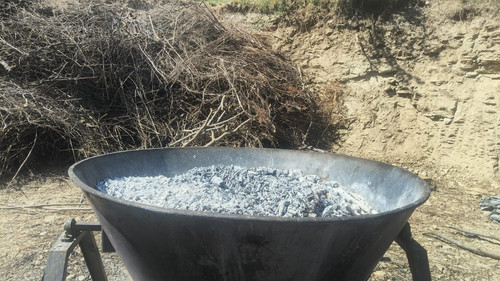 WhatsApp Image 2026 03 10 at 12.48.51 PM.jpg