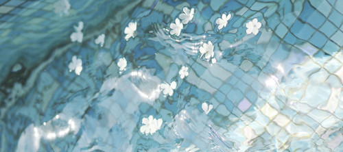 Screenshot 20260311 014832 com.xingin.xhs edit 2264660596714853.jpg