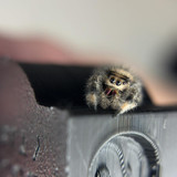 641645425 122260233242247699 6674810959150093769 n