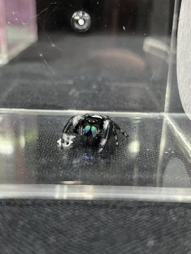 469270804 122177106896247699 4401761641623928624 n.jpg