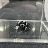 469270804 122177106896247699 4401761641623928624 n