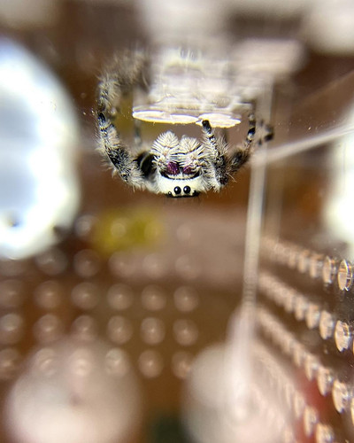 470156243 122178659012247699 4824919677583404461 n.jpg