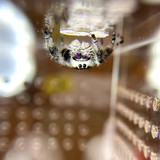 470156243 122178659012247699 4824919677583404461 n